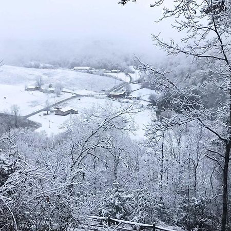 Pigeon Forge Scenic Solitude With Private Hot Tub! Ngoại thất bức ảnh
